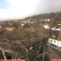 14_20-nest.jpg