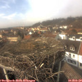 14_30-nest.jpg