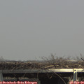 14_35-mast.jpg