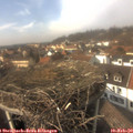14_35-nest.jpg