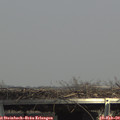 14_40-mast.jpg