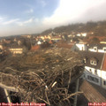 14_40-nest.jpg