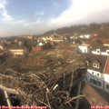 14_45-nest.jpg