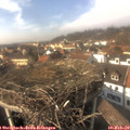 14_50-nest.jpg