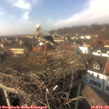 14_55-nest.jpg