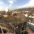 15_00-nest.jpg