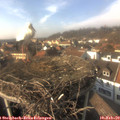 15_05-nest.jpg