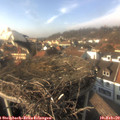 15_10-nest.jpg