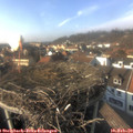 15_15-nest.jpg