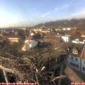 15_20-nest.jpg