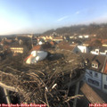 15_25-nest.jpg