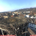 15_30-nest.jpg