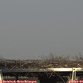 15_35-mast.jpg