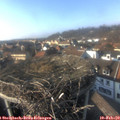 15_35-nest.jpg