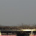 15_40-mast.jpg