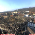 15_40-nest.jpg