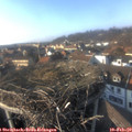 15_45-nest.jpg