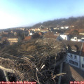 15_50-nest.jpg