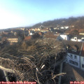 15_55-nest.jpg