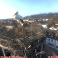 16_00-nest.jpg
