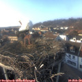 16_05-nest.jpg
