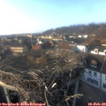 16_10-nest.jpg