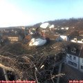 16_15-nest.jpg