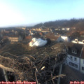 16_20-nest.jpg