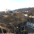 16_25-nest.jpg