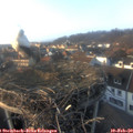16_30-nest.jpg