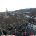 16_35-nest.jpg