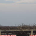 17_00-mast.jpg