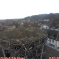 17_05-nest.jpg