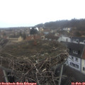 08_00-nest.jpg