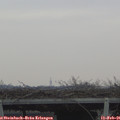 08_15-mast.jpg