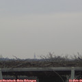 08_20-mast.jpg