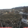 08_20-nest.jpg