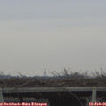 08_25-mast.jpg