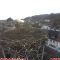 08_40-nest.jpg