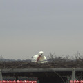 08_55-mast.jpg