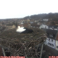 08_55-nest.jpg