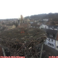 09_10-nest.jpg