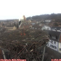 09_25-nest.jpg