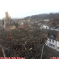 09_30-nest.jpg