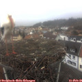 09_35-nest.jpg
