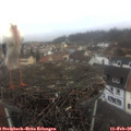 09_40-nest.jpg