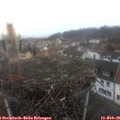 09_45-nest.jpg