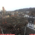 09_50-nest.jpg
