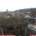10_05-nest.jpg