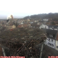 10_10-nest.jpg